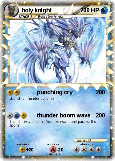 Pokemon holy knight