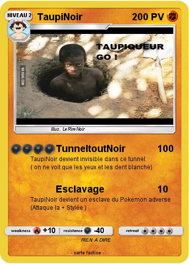Pokemon TaupiNoir