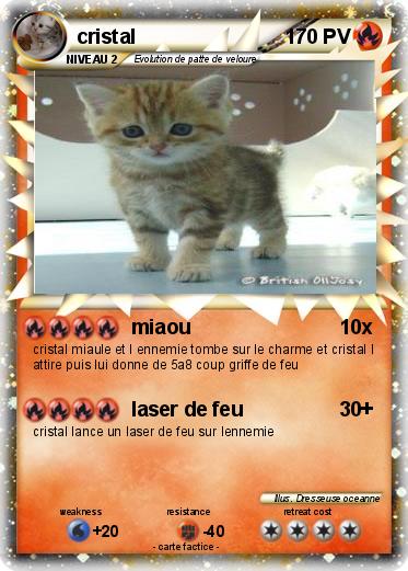 Pokemon cristal