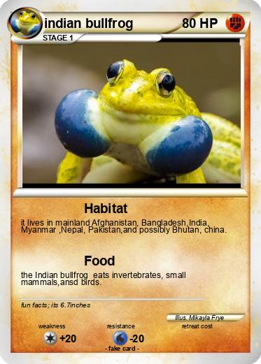 Pokemon indian bullfrog