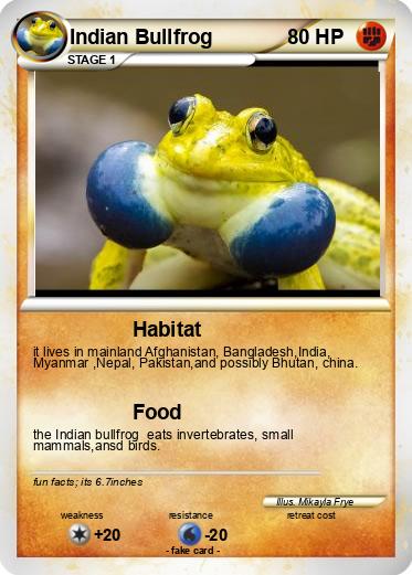 Pokemon Indian Bullfrog