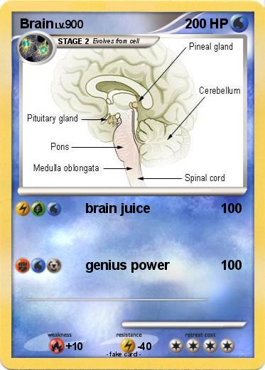 Pokemon Brain