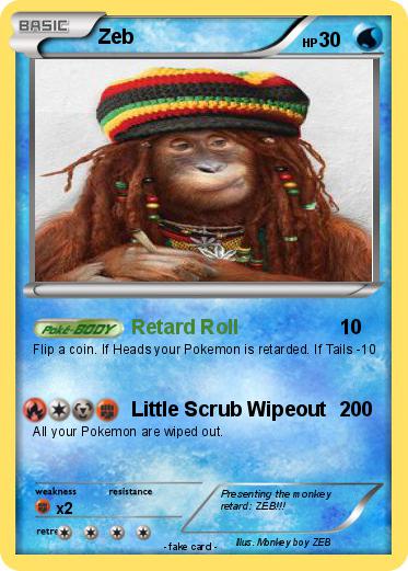 Pokemon Zeb