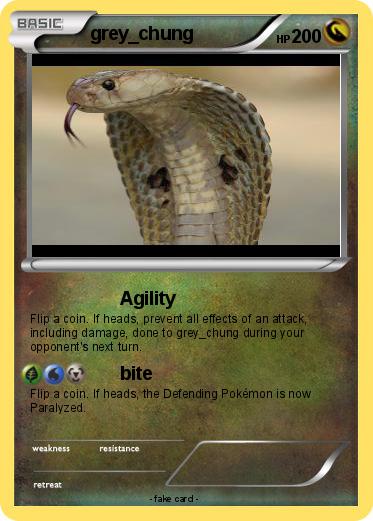 Pokemon grey_chung