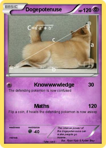 Pokemon Dogepotenuse