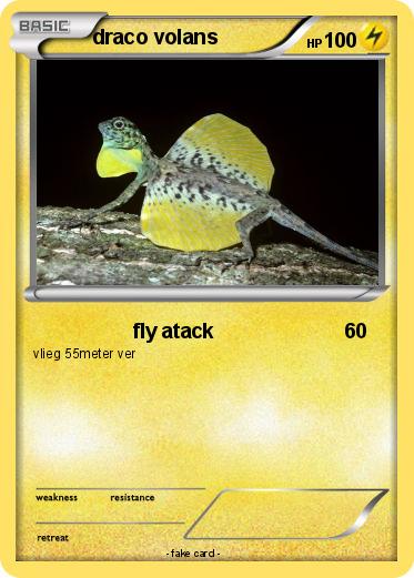 Pokemon draco volans