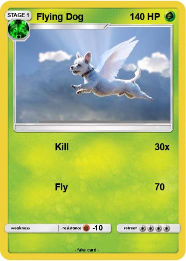 Pokemon Flying Dog