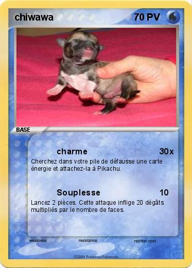 Pokemon chiwawa