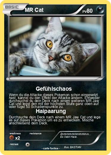 Pokemon MR Cat