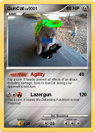 Pokemon GunCat