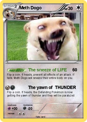Pokemon Meth Dogo