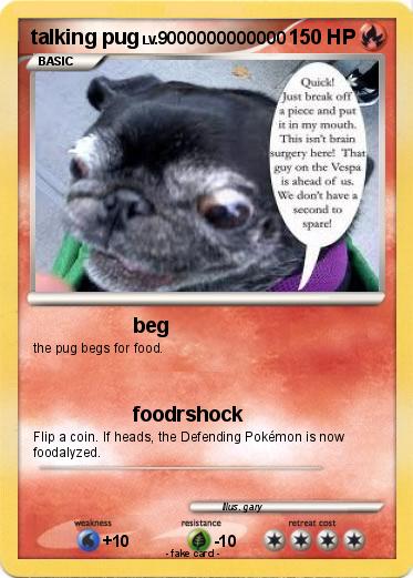 Pokemon talking pug