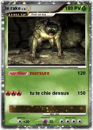 Pokemon le rake
