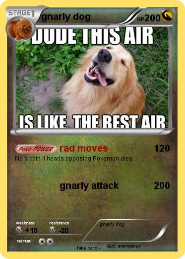 Pokemon gnarly dog