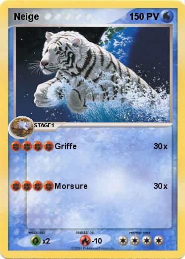 Pokemon Neige