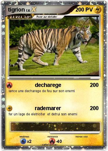 Pokemon tigrion