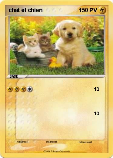 Pokemon chat et chien