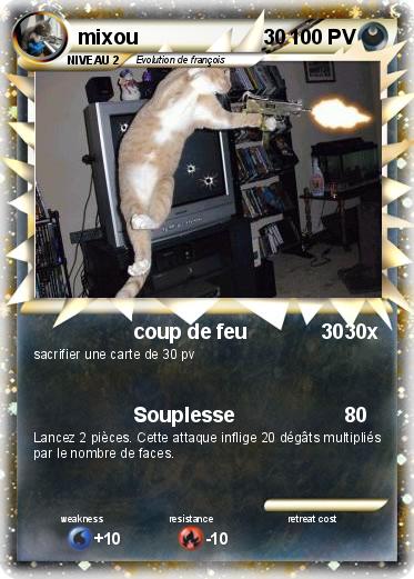 Pokemon mixou                      30