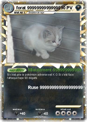 Pokemon forat 99999999999999