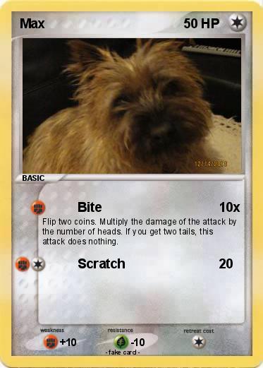 Pokemon Max
