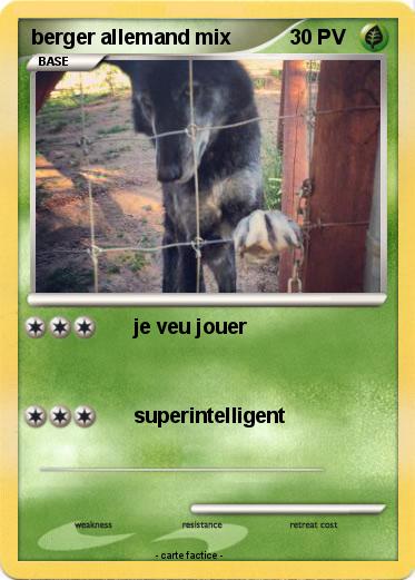 Pokemon berger allemand mix