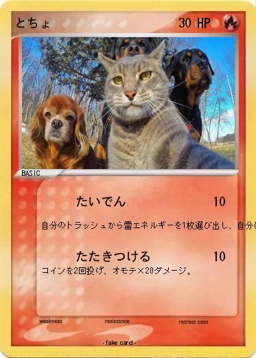 Pokemon とちょ