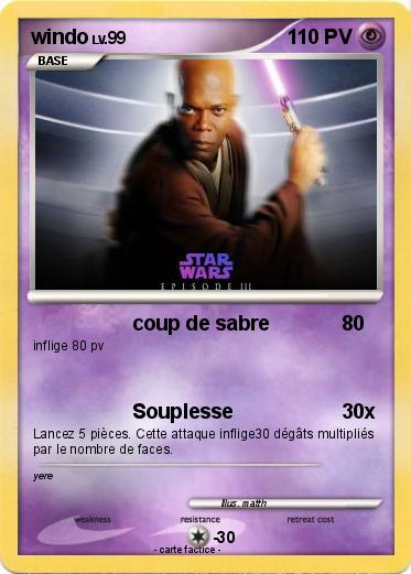 Pokemon windo