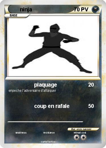 Pokemon ninja