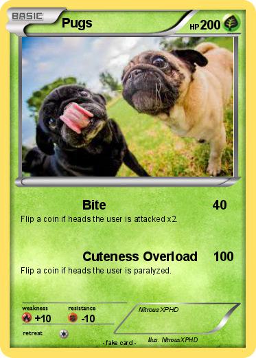 Pokemon Pugs