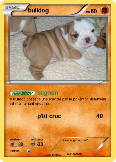 Pokemon bulldog