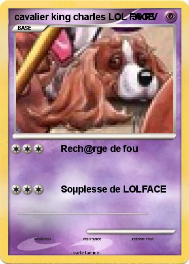 Pokemon cavalier king charles LOL FACE