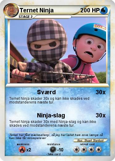 Pokemon Ternet Ninja