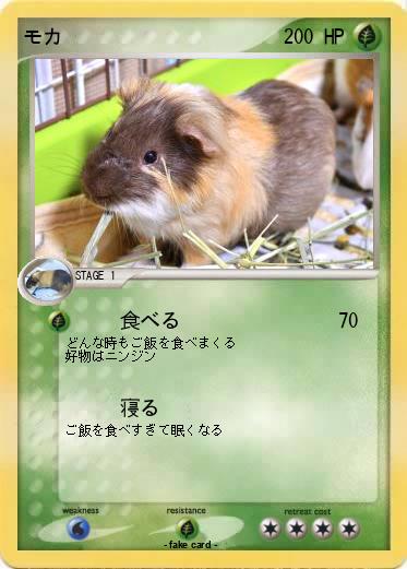 Pokemon モカ