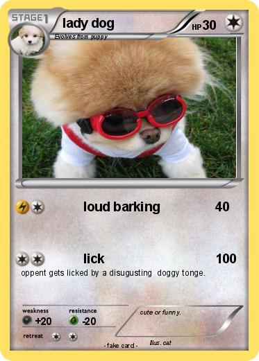 Pokemon lady dog