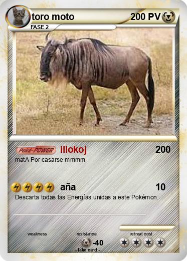 Pokemon toro moto