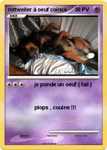 Pokemon rottweiler à oeuf coincé