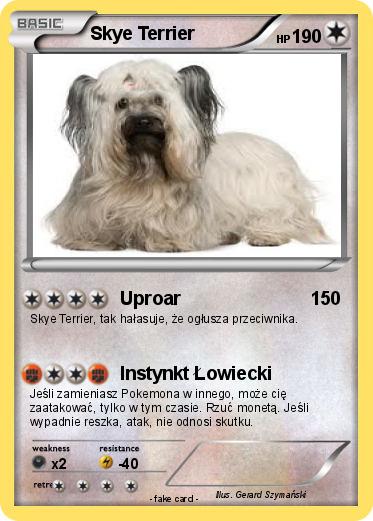 Pokemon Skye Terrier