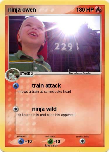 Pokemon ninja owen