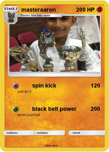 Pokemon masteraaron