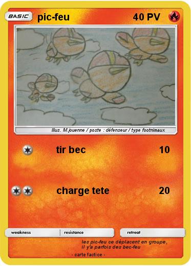 Pokemon pic-feu