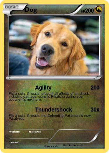 Pokemon Dog