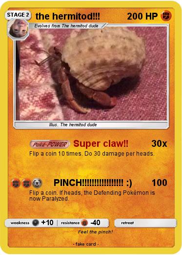 Pokemon the hermitod!!!
