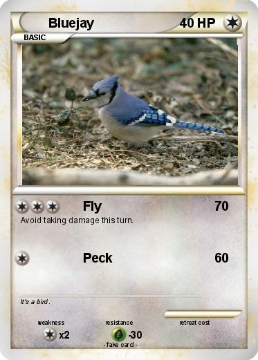 Pokemon Bluejay