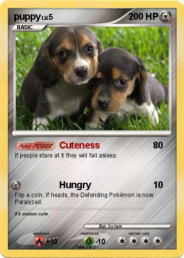 Pokemon puppy