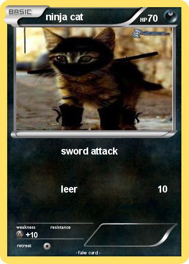 Pokemon ninja cat