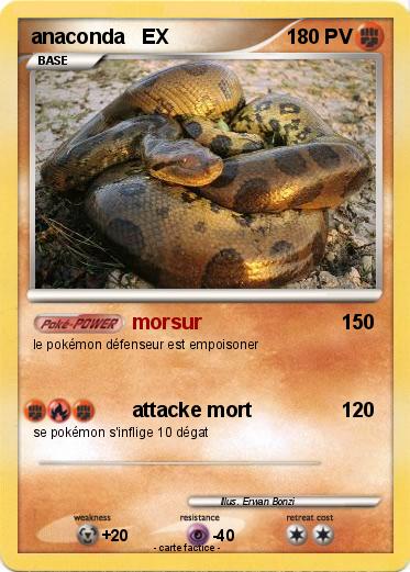 Pokemon anaconda   EX