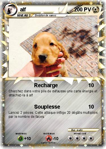 Pokemon alf