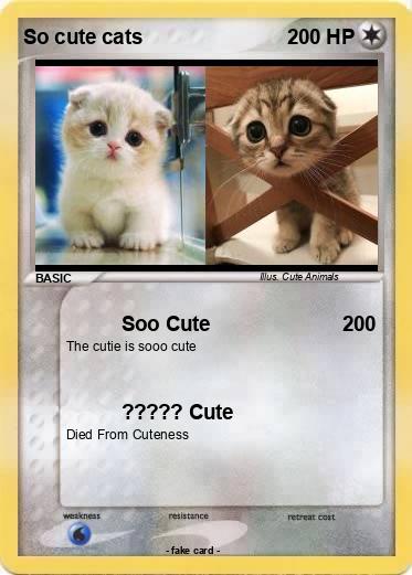 Pokemon So cute cats