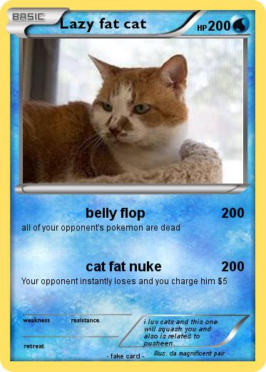 Pokemon Lazy fat cat