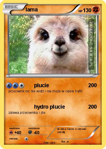 Pokemon lama